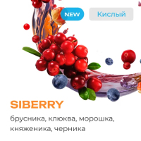 Element  Siberry 25 