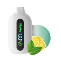 PUFFMI PURE 12000 * LEMON MINT L-019