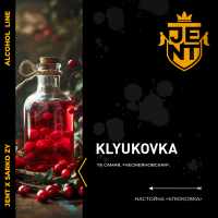 JENT Alcohol Klyukovka ( "") 200 