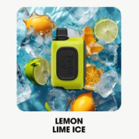  InstaBar WT (15.000) - Lemon Lime Ice ( )