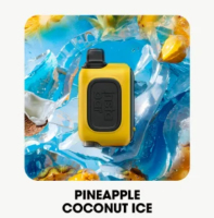  InstaBar WT 15.000 - Pineapple Coconut Ice ( )