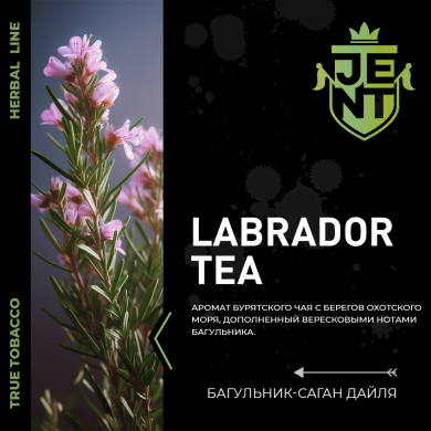 JENT Herbal Labrador tea ( -  ) 25 