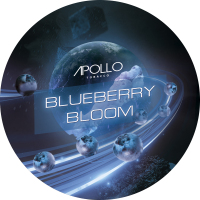 Apollo Tobacco Blueberry Bloom  100 