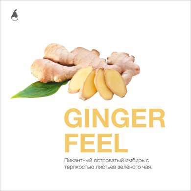 MattPear Ginger Feel 250 