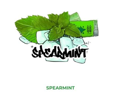 B3 Spearmint 250 