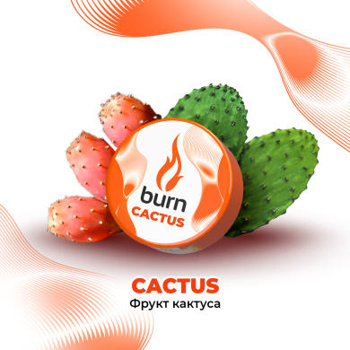 Burn Cactus -      25 