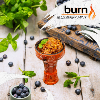 Burn Blueberry Mint -      100 