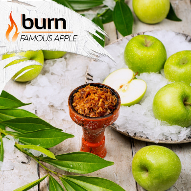 Burn Famous Apple -      100 