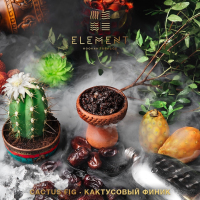 Element  Cactus Fig 100 