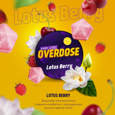 Overdose Lotus Berry (, , ) 200