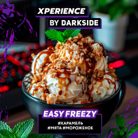 Darkside XPERIENCE Easy Freezy (, , ) 120