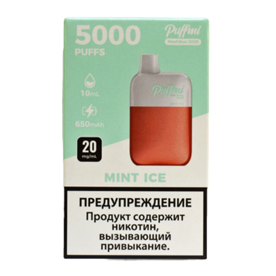  PUFFMI MeshBox (5000) - MINT ICE