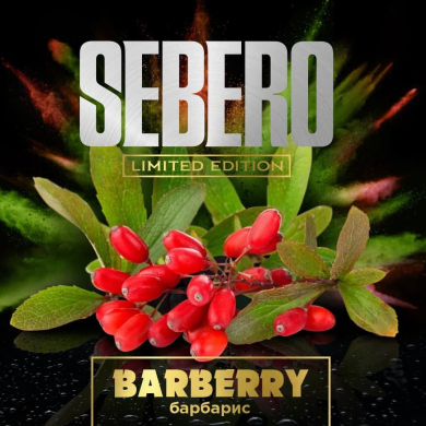 Sebero Limited  60 