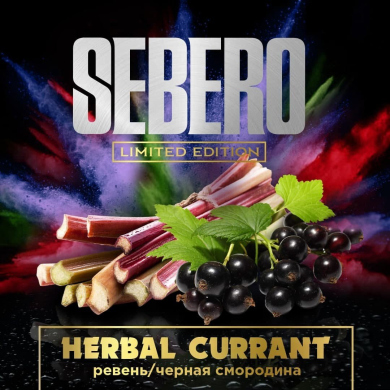 Sebero Limited  -    60 