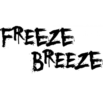  Salt Freeze Breeze Blizzard 30  LEMON PIE ICE 30 