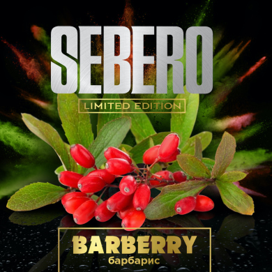 Sebero Limited  30 